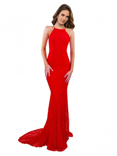 Long Sleeveless Lace Red Mermaid Evening Gown / Prom Dress / Bridesmaid Dress Canberra